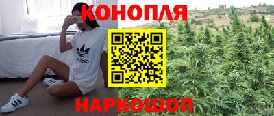 прущий лед Бийск