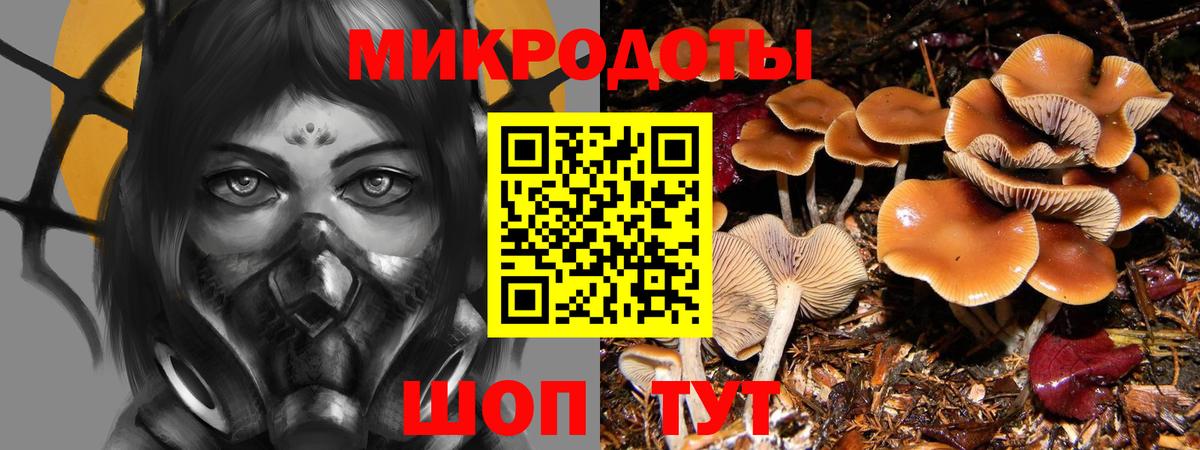Галлюциногенные грибы MAGIC MUSHROOMS  Псилоцибиновые грибы Psilocybine cubensis  закладка  Вход с VPN  Ишимбай 